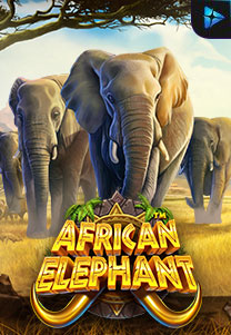 Bocoran RTP Slot African Elephant di WD Hoki