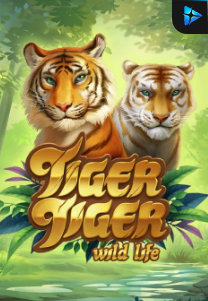 Bocoran RTP Slot Tiger Tiger Wild Life di WD Hoki