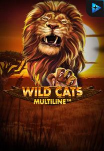 Bocoran RTP Slot Wild Cat Multiline di WD Hoki