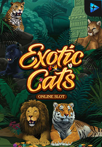 Bocoran RTP Slot exoticcats di WD Hoki