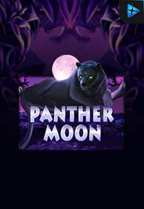 Bocoran RTP Slot Panther-Moon di WD Hoki